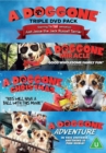 A   Doggone Triple - DVD