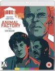 Animal Factory - Blu-ray