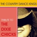 Tribute to the Dixie Chicks - CD