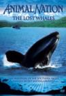 Animal Nation: The Lost Whales - DVD
