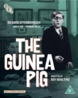The Guinea Pig - DVD
