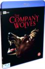 The Company of Wolves - Blu-ray