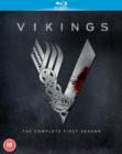 Vikings: The Complete First Season - Blu-ray