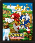 Sonic The Hedgehog (Catching Rings) 10 x 8" 3D Lenticular Poster (Framed) - Book