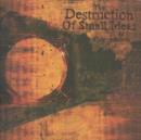 The Destruction of Small Ideas - CD