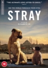 Stray - DVD