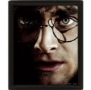 Harry Potter (Harry Vs Voldemort) - Framed - Book