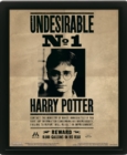 Harry Potter (Harry & Sirius) Framed 10 x 8" 3D Lenticular Poster (Framed) - Book
