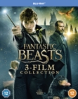 Fantastic Beasts: 3-film Collection - Blu-ray