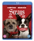 Strays - Blu-ray