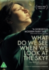 What Do We See When We Look at the Sky? - DVD
