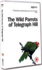 The Wild Parrots of Telegraph Hill - DVD
