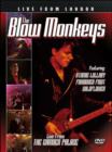 The Blow Monkeys: Live from London - DVD
