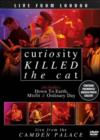 Curiosity Killed the Cat: Live from London - DVD