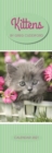 Kittens By Greg Cuddiford Slim Calendar 2021 - Book