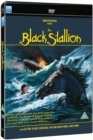 The Black Stallion - DVD