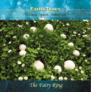 The Fairy Ring - CD