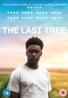 The Last Tree - DVD