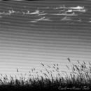 Mares' Tails - CD