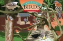 British Birds Collection: Garden Birds - DVD