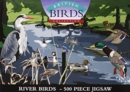 British Birds Collection: River Birds - DVD