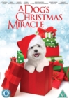 A   Dog's Christmas Miracle - DVD