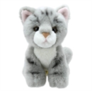 Cat (Grey) Soft Toy - Book