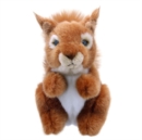 Squirrel (Red) Soft Toy - Book