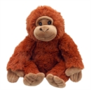 Ollie - Orangutan Soft Toy - Book