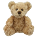Teddy Bear Soft Toy - Book
