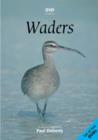 Waders - DVD