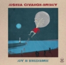 Joy in Bewilderment - CD