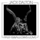 Past Swallows Love (Limited Edition) - Vinyl