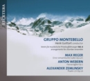 Verein Für Musikalische Privataufführungen: Arrangements for Chamber Music - CD