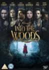 Into the Woods - DVD