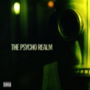 The Psycho Realm - Vinyl