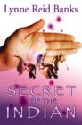 Secret of the Indian - Book