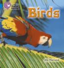 Birds : Band 04/Blue - Book