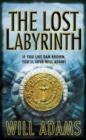 The Lost Labyrinth - Book