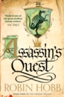 The Assassin's Quest - eBook
