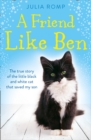 A Friend Like Ben : The True Story of the Little Black and White Cat That Saved My Son - Book