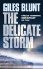 The Delicate Storm - eBook