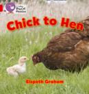 Chick to Hen : Band 02a/Red a - Book