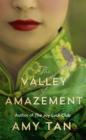 The Valley of Amazement - Book