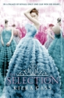 The Selection - eBook