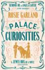 The Palace of Curiosities - eBook
