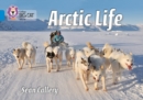 Arctic Life : Band 04/Blue - Book