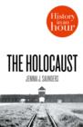 The Holocaust: History in an Hour - eBook