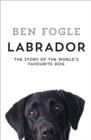 Labrador : The Story of the World's Favourite Dog - Book
