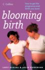 Blooming Birth: How to get the pregnancy and birth you want - eBook